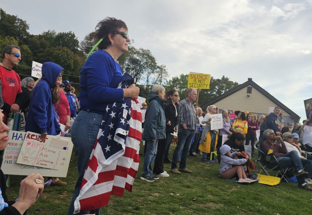 Crowd of people, most standing, some sitting on folding chairs or on the ground, in a grassy area. People hold signs, most homemade, most prominent one reads Silence is not security. Woman in foreground holds a U.S. flag in front of her.